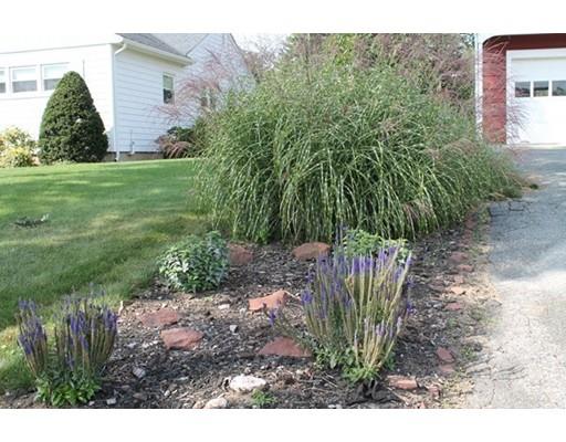 42 Druid Hill Rd, Springfield, MA 01129 photo 25