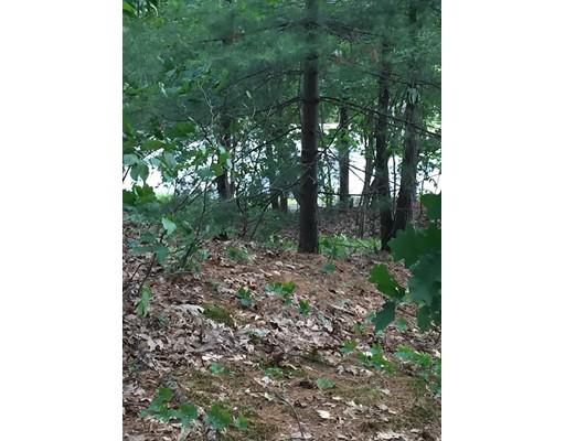 14 Randell Rd, Saugus, MA 01906 photo 5