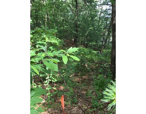 14 Randell Rd, Saugus, MA 01906 photo 8