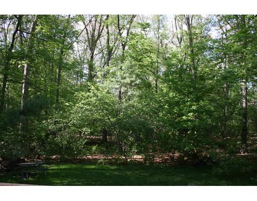 29 Blake St, Needham, MA 02492 photo 3