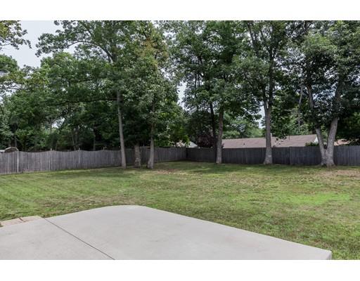 59 Fox Hill Rd, Springfield, MA 01118 photo 6