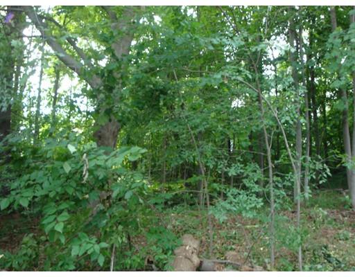 110 Brattle St, Athol, MA 01331 photo 3