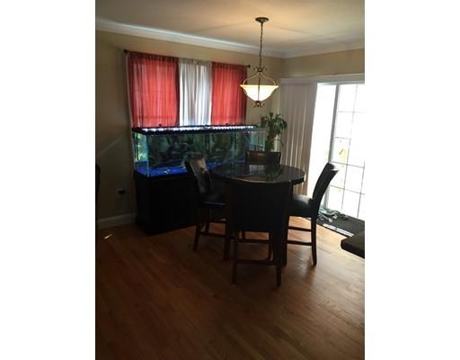 19 Wing St, Springfield, MA 01151 photo 7