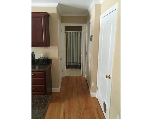 19 Wing St, Springfield, MA 01151 photo 5