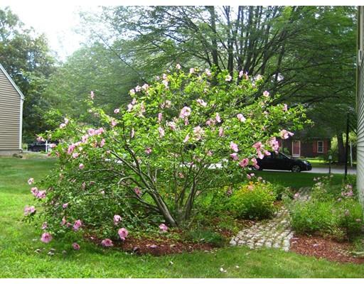 17 Mockingbird Ln, Maynard, MA 01754 photo 14