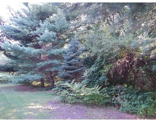218 Bonham Rd, Dedham, MA 02026 photo 28