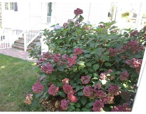 15 Temple St, Reading, MA 01867 photo 3