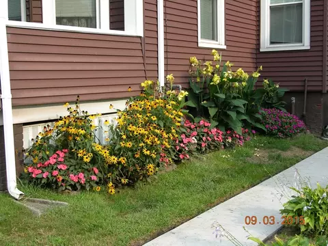 27 Rutledge Ave, Springfield, MA 01105 photo 4