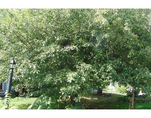 31 Blithewood Ter, Worcester, MA 01604 photo 16