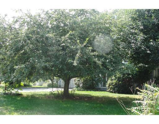 31 Blithewood Ter, Worcester, MA 01604 photo 15