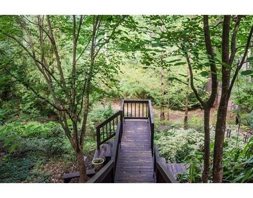 243 Mason Ter, Brookline, MA 02446 photo 11
