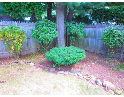 45 Hadley St, Springfield, MA 01118 photo 19