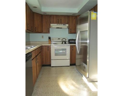 15 Roy St, Worcester, MA 01603 photo 13