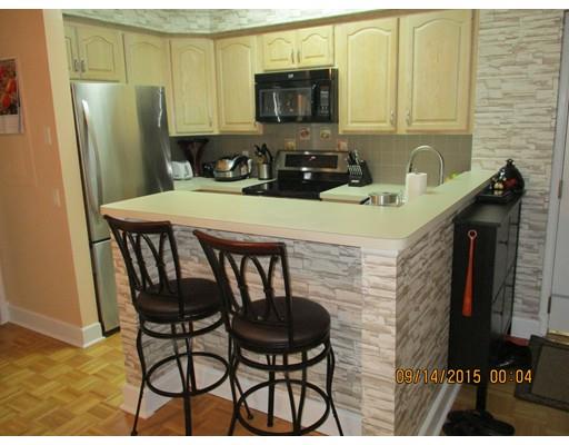 34 Sumner Ave #317, Springfield, MA 01108 photo 3