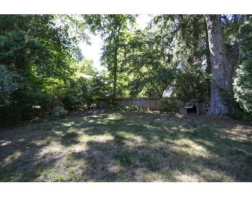 53 Hawthorn Ave, Needham, MA 02492 photo 5
