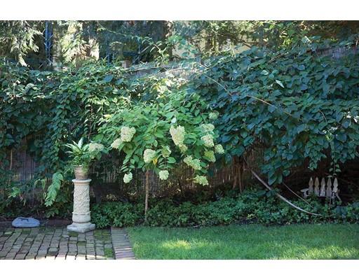 25 Edgehill Rd, Brookline, MA 02445 photo 8