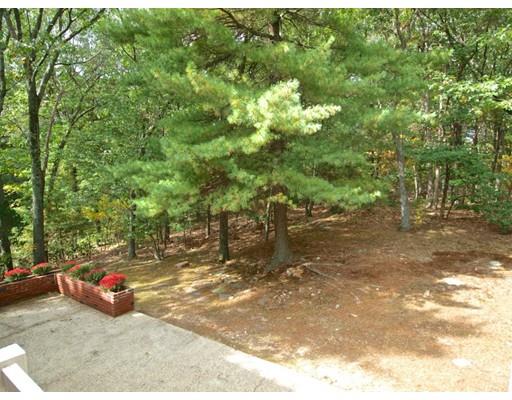 43 Richardson Dr, Needham, MA 02492 photo 14
