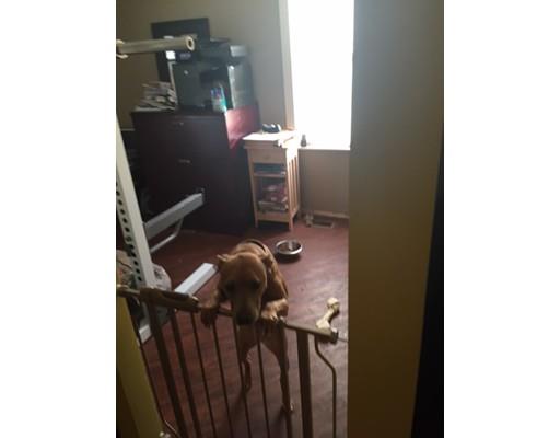 18 Lapham St, Fall River, MA 02721 photo 12