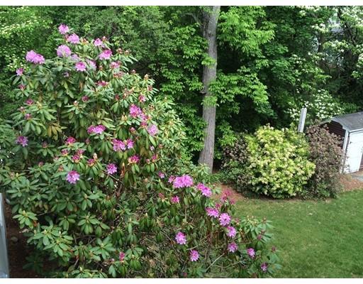 36 Lawton Rd, Needham, MA 02492 photo 27