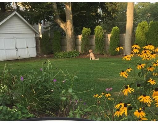 38 Walnut St, Natick, MA 01760 photo 24