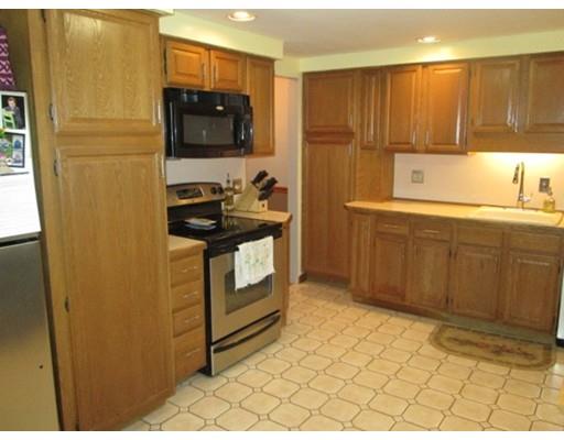 18 Delaval Rd, Worcester, MA 01606 photo 3