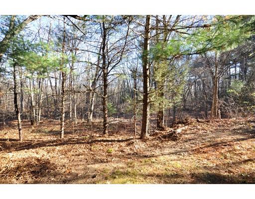 7 Paul Rd, Maynard, MA 01754 photo 20