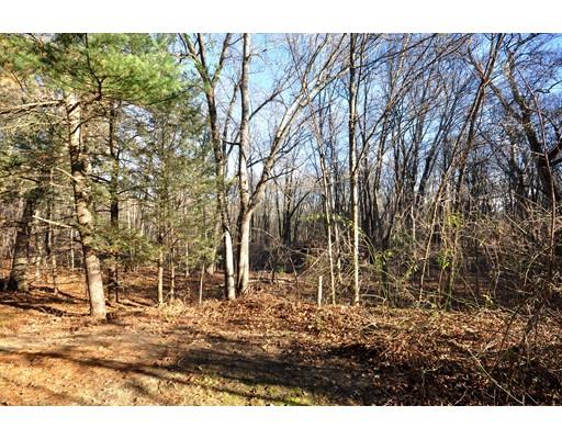 7 Paul Rd, Maynard, MA 01754 photo 19