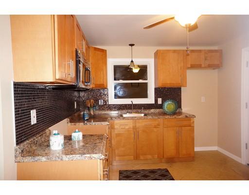 219 Pheland St, Springfield, MA 01109 photo 1
