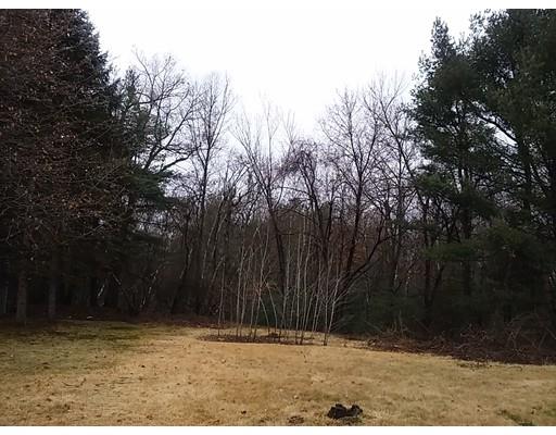 116 Forest Hills Rd, Springfield, MA 01128 photo 15