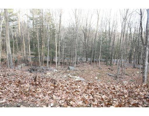 590 E Guinea Rd, Conway, MA 01341 photo 8