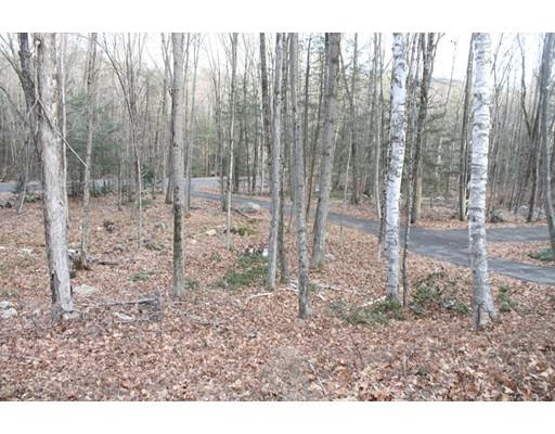 590 E Guinea Rd, Conway, MA 01341 photo 7
