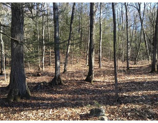 37 Long Plain Rd, Leverett, MA 01054 photo 27