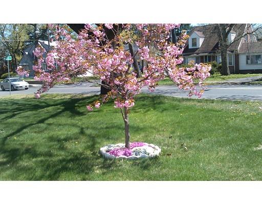 80 Leitch St, Springfield, MA 01109 photo 16