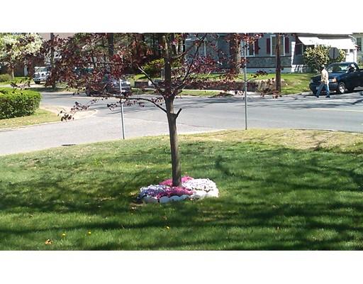 80 Leitch St, Springfield, MA 01109 photo 15