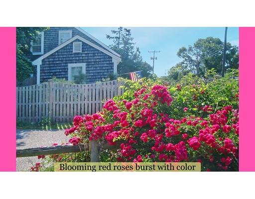 158 Upper County, Dennis, MA 02639 photo 3