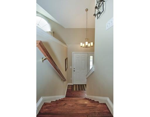 4 Holly Ter, Worcester, MA 01607 photo 17