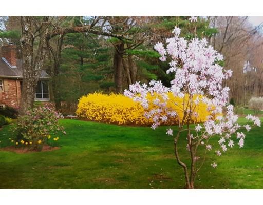 59 Locust Ln, Needham, MA 02492 photo 27