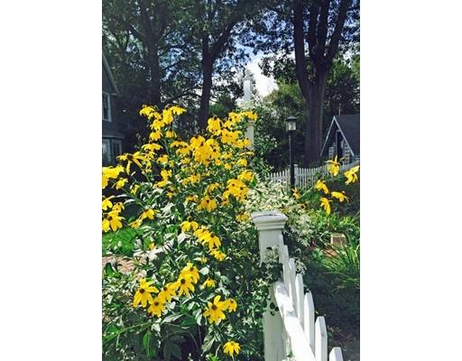 11 Gage St, Needham, MA 02492 photo 21