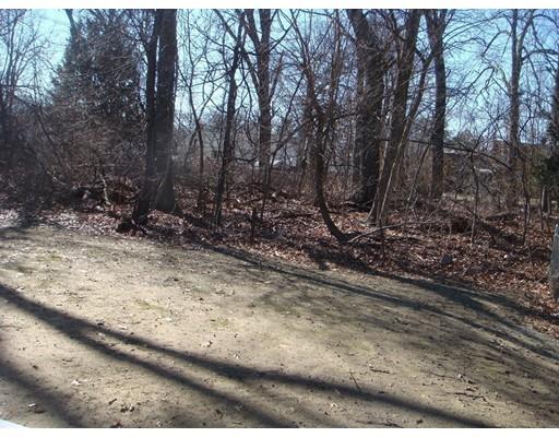 104 Lamont, Springfield, MA 01119 photo 17