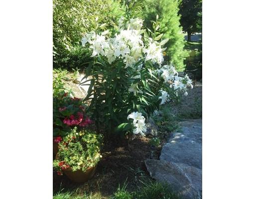 368 West St, Reading, MA 01867 photo 25