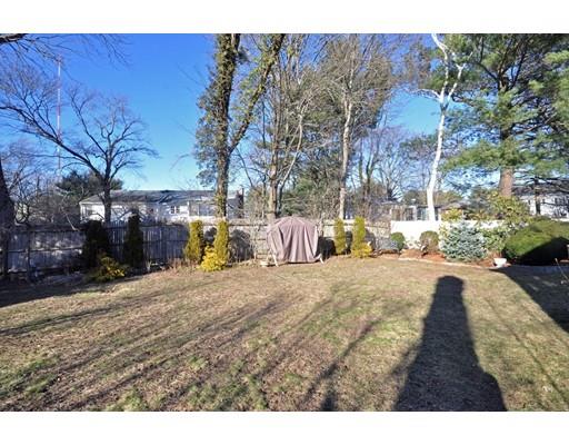 161 Evelyn Rd, Needham, MA 02494 photo 9