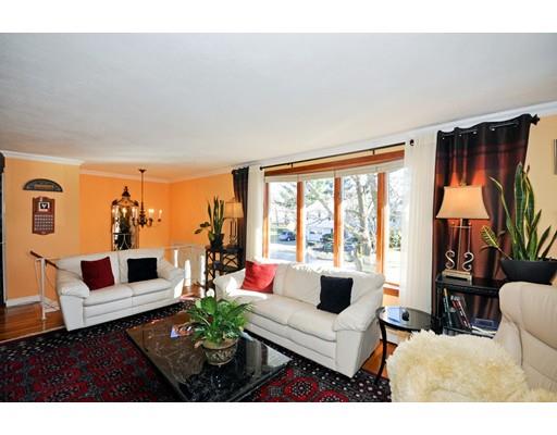 161 Evelyn Rd, Needham, MA 02494 photo 3