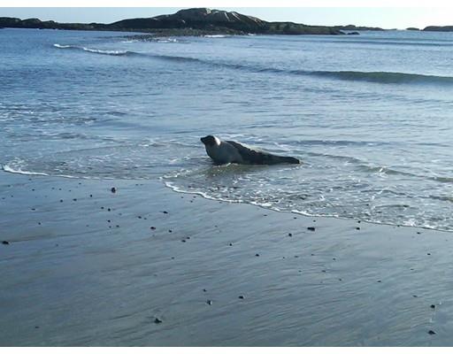 14 Jackson Rd, Scituate, MA 02066 photo 20