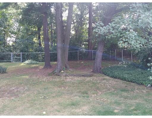 19 Calvin, Springfield, MA 01104 photo 6