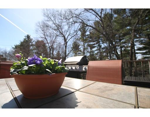 32 Westview Rd, Worcester, MA 01602 photo 27