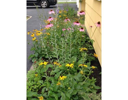 513 North St, Georgetown, MA 01833 photo 28
