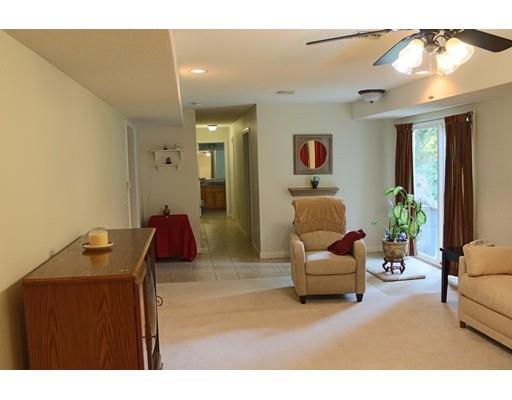 48 Derby Dingle, Springfield, MA 01107 photo 22