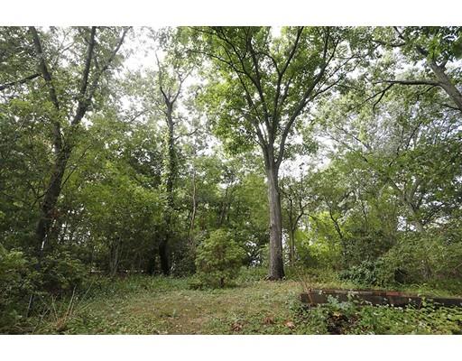 61 Hackensack Rd, Chestnut Hill, MA 02467 photo 20