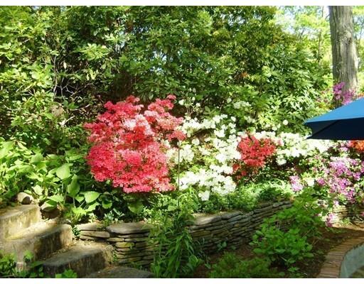 61 Hackensack Rd, Chestnut Hill, MA 02467 photo 24