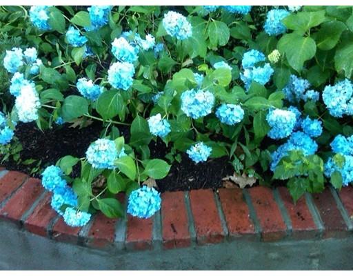 61 Hackensack Rd, Chestnut Hill, MA 02467 photo 23